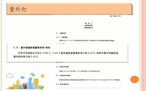 餐饮服务食品安全操作规范培训